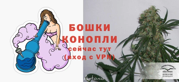 mdpv Костерёво
