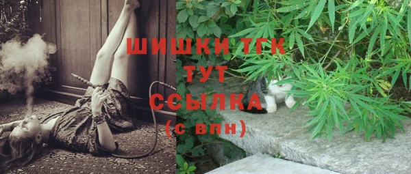 spice Корсаков